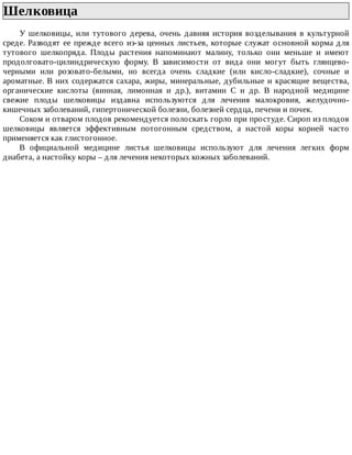 Шелковица	
У	 шелковицы,	 или	 тутового	 дерева,	 очень	 давняя	 история	 возделывания	 в	 культурной
среде.	Разводят	ее	прежде	всего	из-за	ценных	листьев,	которые	служат	основной	корма	для
тутового	 шелкопряда.	 Плоды	 растения	 напоминают	 малину,	 только	 они	 меньше	 и	 имеют
продолговато-цилиндрическую	 форму.	 В	 зависимости	 от	 вида	 они	 могут	 быть	 глянцево-
черными	 или	 розовато-белыми,	 но	 всегда	 очень	 сладкие	 (или	 кисло-сладкие),	 сочные	 и
ароматные.	В	них	содержатся	сахара,	жиры,	минеральные,	дубильные	и	красящие	вещества,
органические	 кислоты	 (винная,	 лимонная	 и	 др.),	 витамин	 С	 и	 др.	 В	 народной	 медицине
свежие	 плоды	 шелковицы	 издавна	 используются	 для	 лечения	 малокровия,	 желудочно-
кишечных	заболеваний,	гипертонической	болезни,	болезней	сердца,	печени	и	почек.
Соком	и	отваром	плодов	рекомендуется	полоскать	горло	при	простуде.	Сироп	из	плодов
шелковицы	 является	 эффективным	 потогонным	 средством,	 а	 настой	 коры	 корней	 часто
применяется	как	глистогонное.
В	 официальной	 медицине	 листья	 шелковицы	 используют	 для	 лечения	 легких	 форм
диабета,	а	настойку	коры	–	для	лечения	некоторых	кожных	заболеваний.
 