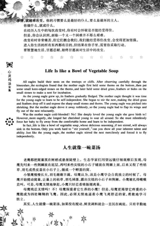 鼦ȫӢ