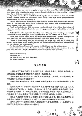 鼦ȫӢ