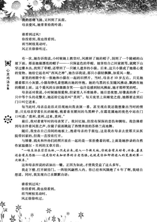 鼦ȫӢ