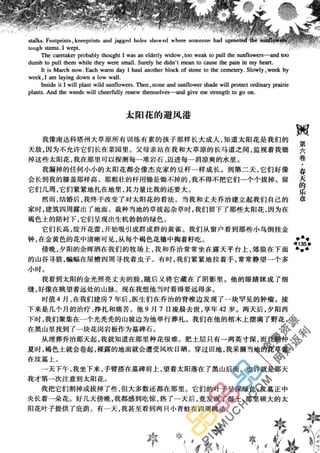 鼦ȫӢ