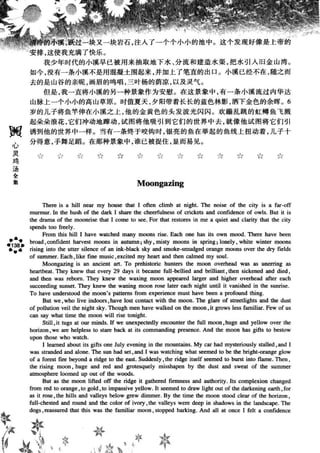 鼦ȫӢ