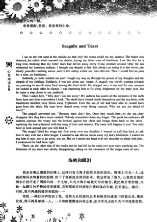 鼦ȫӢ