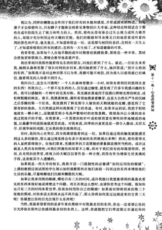 鼦ȫӢ