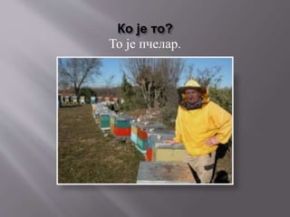 Ко је то?
То је пчелар.
 