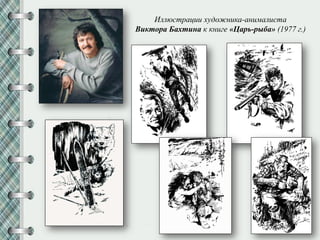 Иллюстрации художника-анималиста
Виктора Бахтина к книге «Царь-рыба» (1977 г.)
 
