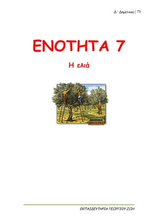 Δ΄ Δημοτικού 73
ΕΚΠΑΙΔΕΥΤΗΡΙΑ ΓΕΩΡΓΙΟΥ ΖΩΗ
ΕΝΟΤΗΤΑ 7
Η ελιά
 