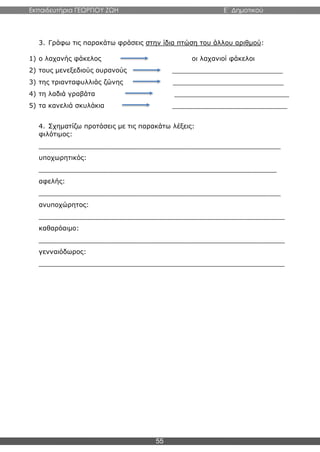 Εκπαιδευτήρια ΓΕΩΡΓΙΟΥ ΖΩΗ E΄ Δημοτικού
55
3. Γράφω τις παρακάτω φράσεις στην ίδια πτώση του άλλου αριθμού:
1) ο λαχανής φάκελος οι λαχανιοί φάκελοι
2) τους μενεξεδιούς ουρανούς ___________________________
3) της τριανταφυλλιάς ζώνης ___________________________
4) τη λαδιά γραβάτα ____________________________
5) τα κανελιά σκυλάκια ____________________________
4. Σχηματίζω προτάσεις με τις παρακάτω λέξεις:
φιλότιμος:
___________________________________________________________
υποχωρητικός:
__________________________________________________________
αφελής:
___________________________________________________________
ανυποχώρητος:
____________________________________________________________
καθαρόαιμο:
____________________________________________________________
γενναιόδωρος:
____________________________________________________________
 