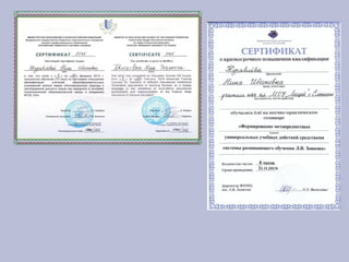 портфолио журавлевой н.и.