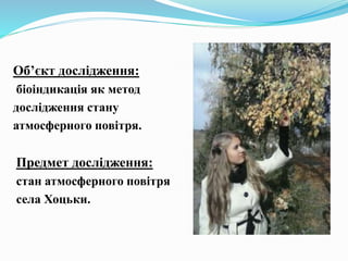 Об’єкт дослідження:
біоіндикація як метод
дослідження стану
атмосферного повітря.
Предмет дослідження:
стан атмосферного повітря
села Хоцьки.
 