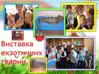 моє портфоліо