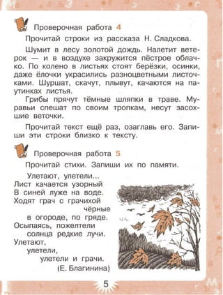 Русский Язык. Проверочные Работы. 4 Класс Зеленина, Хохлова 2009.