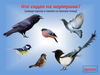 Зимующие птицы