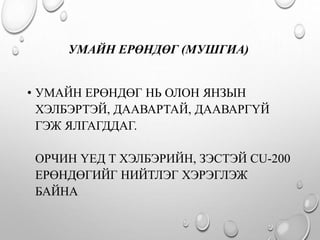 УМАЙН ЕРӨНДӨГ (МУШГИА)
• УМАЙН ЕРӨНДӨГ НЬ ОЛОН ЯНЗЫН
ХЭЛБЭРТЭЙ, ДААВАРТАЙ, ДААВАРГҮЙ
ГЭЖ ЯЛГАГДДАГ.
ОРЧИН ҮЕД Т ХЭЛБЭРИЙН, ЗЭСТЭЙ CU-200
ЕРӨНДӨГИЙГ НИЙТЛЭГ ХЭРЭГЛЭЖ
БАЙНА
 