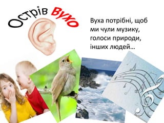 Вуха потрібні, щоб
ми чули музику,
голоси природи,
інших людей…
 