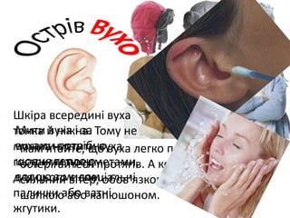 Пам’ятайте, що вуха легко простудити, тому
остерігайтеся протягів. А коли на вулиці
сильний вітер, обов’язково прикрийте їх
шапкою або капюшоном.
Шкіра всередині вуха
тонка й ніжна. Тому не
можна чистити вуха
гострими предметами,
для цього є спеціальні
палички або ватні
жгутики.
Мити вуха і за
вухами потрібно
щодня теплою
водою з милом.
 