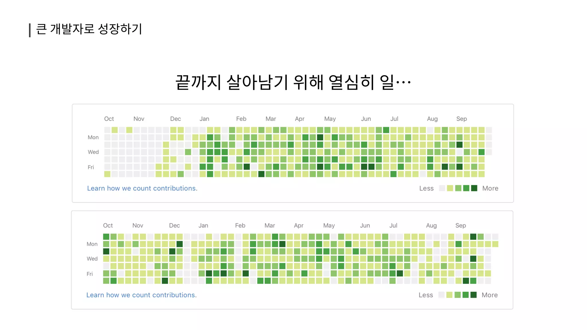 작은 스타트업에서 큰 개발자로 성장하기