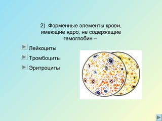 2). Форменные элементы крови,
имеющие ядро, не содержащие
гемоглобин –
Лейкоциты
Тромбоциты
Эритроциты
 