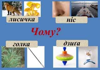 лисичка ніс
голка дзиґа
Чому?
 