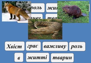 хвістграє
важливу
рольв житті
тварин
Хвіст грає важливу роль
в житті тварин
 