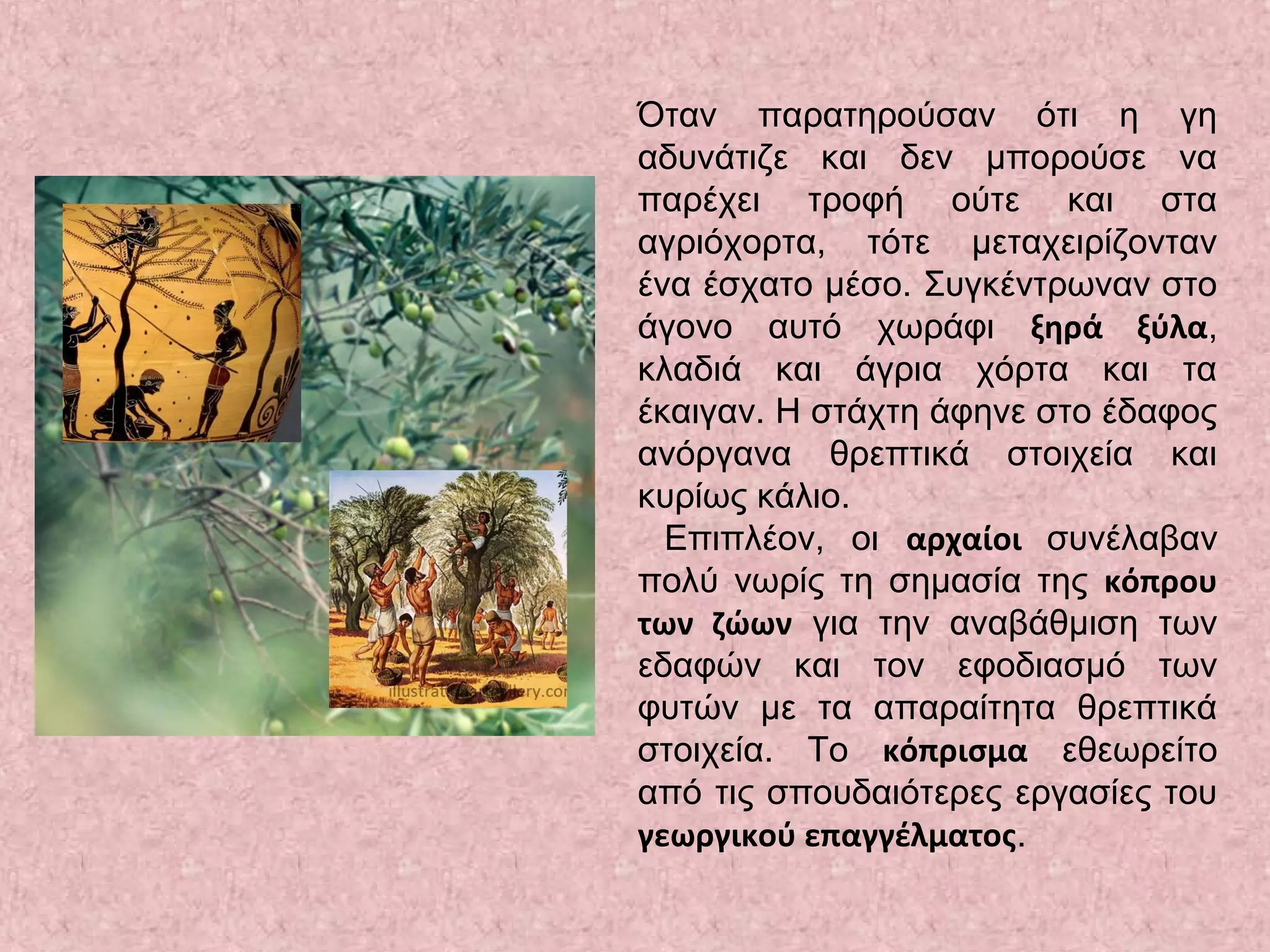 Όταν παρατηρούσαν ότι η γη
αδυνάτιζε και δεν μπορούσε να
παρέχει τροφή ούτε και στα
αγριόχορτα, τότε μεταχειρίζονταν
ένα έσχατο μέσο. Συγκέντρωναν στο
άγονο αυτό χωράφι ξηρά ξύλα,
κλαδιά και άγρια χόρτα και τα
έκαιγαν. Η στάχτη άφηνε στο έδαφος
ανόργανα θρεπτικά στοιχεία και
κυρίως κάλιο.
Επιπλέον, οι αρχαίοι συνέλαβαν
πολύ νωρίς τη σημασία της κόπρου
των ζώων για την αναβάθμιση των
εδαφών και τον εφοδιασμό των
φυτών με τα απαραίτητα θρεπτικά
στοιχεία. Το κόπρισμα εθεωρείτο
από τις σπουδαιότερες εργασίες του
γεωργικού επαγγέλματος.
 