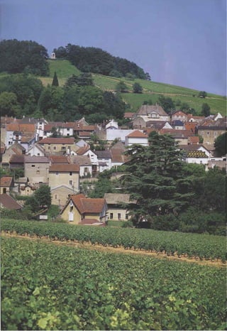 اللغة الفرنسية للصف الاول المتوسط