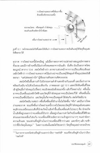 ประวัติย่อของหลุมดำ