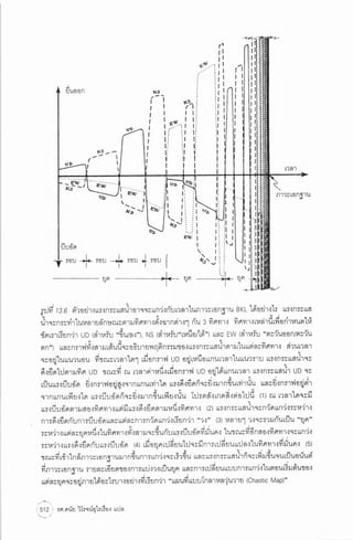 ประวัติย่อของหลุมดำ