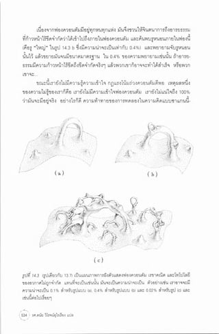 ประวัติย่อของหลุมดำ