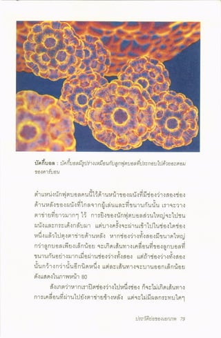 ประวัติย่อของเอกภพ