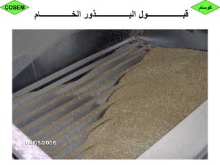 ‫الخــــــــــــــــام‬ ‫البـــــــــــــــــذور‬ ‫قبــــــــــــــــــول‬
‫كوسام‬COSEM
 