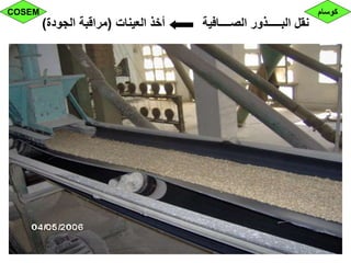 ‫العينات‬ ‫أخذ‬ ‫الصــــافية‬ ‫البـــــذور‬ ‫نقل‬(‫الجودة‬ ‫مراقبة‬)
‫كوسام‬COSEM
 