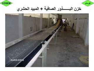 ‫الصافية‬ ‫البـــــــذور‬ ‫خزن‬+‫الحشري‬ ‫المبيد‬
‫كوسام‬COSEM
 