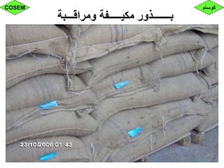 ‫ومراقـــبة‬ ‫مكيـــــفة‬ ‫بـــــــذور‬
‫كوسام‬COSEM
 