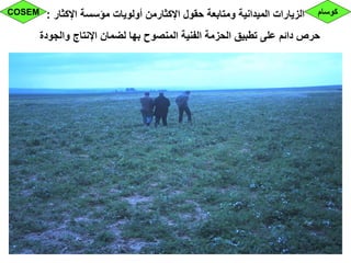 ‫اإلكثار‬ ‫مؤسسة‬ ‫أولويات‬ ‫اإلكثارمن‬ ‫حقول‬ ‫ومتابعة‬ ‫الميدانية‬ ‫الزيارات‬:
‫والجودة‬ ‫اإلنتاج‬ ‫لضمان‬ ‫بها‬ ‫المنصوح‬ ‫الفنية‬ ‫الحزمة‬ ‫تطبيق‬ ‫على‬ ‫دائم‬ ‫حرص‬
‫كوسام‬COSEM
 