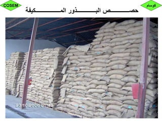 ‫المـــــــــــــــــكيفة‬ ‫البـــــــــــــذور‬ ‫حصـــــــــــــص‬
‫كوسام‬COSEM
 