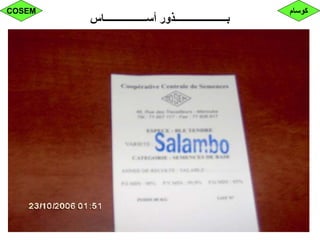 ‫أســـــــــــــــــاس‬ ‫بـــــــــــــــــــــذور‬
‫كوسام‬COSEM
 