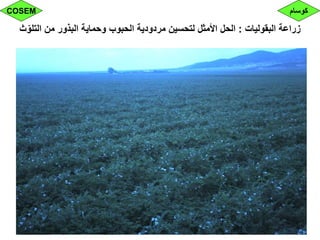 ‫البقوليات‬ ‫زراعة‬:‫ث‬ّ‫التلو‬ ‫من‬ ‫البذور‬ ‫وحماية‬ ‫الحبوب‬ ‫مردودية‬ ‫لتحسين‬ ‫األمثل‬ ‫الحل‬
‫كوسام‬COSEM
 