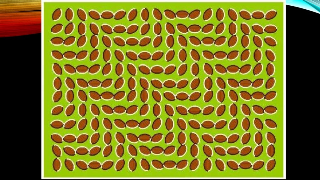 Оптична ілюзія