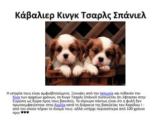 Κάβαλιερ Κινγκ Τσαρλς Σπάνιελ
Η ιστορία τους είναι αμφισβητούμενη. Ξεκινάει από την Ιαπωνία και πιθανόν την
Κίνα των αρχαίων χρόνων, τα Κινγκ Τσαρλς Σπάνιελ πιστεύεται ότι έφτασαν στην
Ευρώπη ως δώρα προς τους βασιλείς. Το σίγουρο πάντως είναι ότι η φυλή δεν
πρωτοεμφανίστηκε στην Αγγλία κατά τη διάρκεια της βασιλείας του Καρόλου Ι -
από τον οποίο πήραν το όνομά τους- αλλά υπήρχε περισσότερα από 100 χρόνια
πριν ♥♥♥
 
