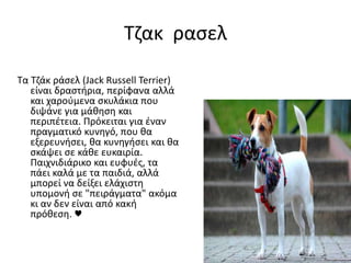 Τζακ ρασελ
Τα Τζάκ ράσελ (Jack Russell Terrier)
είναι δραστήρια, περίφανα αλλά
και χαρούμενα σκυλάκια που
διψάνε για μάθηση και
περιπέτεια. Πρόκειται για έναν
πραγματικό κυνηγό, που θα
εξερευνήσει, θα κυνηγήσει και θα
σκάψει σε κάθε ευκαιρία.
Παιχνιδιάρικο και ευφυές, τα
πάει καλά με τα παιδιά, αλλά
μπορεί να δείξει ελάχιστη
υπομονή σε "πειράγματα" ακόμα
κι αν δεν είναι από κακή
πρόθεση. ♥
 