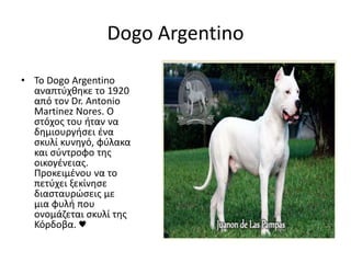 Dogo Argentino
• Το Dogo Argentino
αναπτύχθηκε το 1920
από τον Dr. Antonio
Martinez Nores. Ο
στόχος του ήταν να
δημιουργήσει ένα
σκυλί κυνηγό, φύλακα
και σύντροφο της
οικογένειας.
Προκειμένου να το
πετύχει ξεκίνησε
διασταυρώσεις με
μια φυλή που
ονομάζεται σκυλί της
Κόρδοβα. ♥
 
