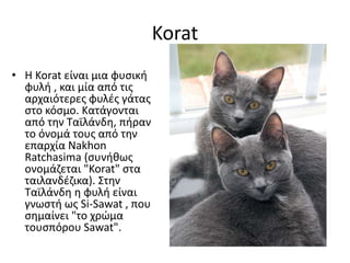 Korat
• Η Korat είναι μια φυσική
φυλή , και μία από τις
αρχαιότερες φυλές γάτας
στο κόσμο. Κατάγονται
από την Ταϊλάνδη, πήραν
το όνομά τους από την
επαρχία Nakhon
Ratchasima (συνήθως
ονομάζεται "Korat" στα
ταιλανδέζικα). Στην
Ταϊλάνδη η φυλή είναι
γνωστή ως Si-Sawat , που
σημαίνει "το χρώμα
τουσπόρου Sawat".
 