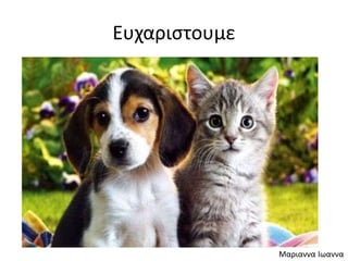 Ευχαριστουμε
Μαριαννα Ιωαννα
 