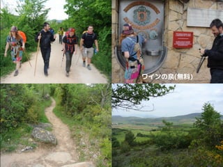 ワインの泉(無料)
 