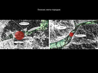 Генезис мета-городов
 