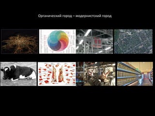 Органический город – модернистский город
 