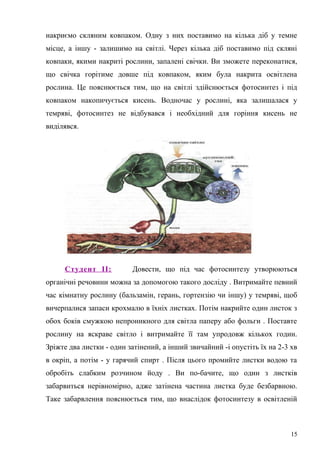 накриємо скляним ковпаком. Одну з них поставимо на кілька діб у темне
місце, а іншу - залишимо на світлі. Через кілька діб поставимо під скляні
ковпаки, якими накриті рослини, запалені свічки. Ви зможете переконатися,
що свічка горітиме довше під ковпаком, яким була накрита освітлена
рослина. Це пояснюється тим, що на світлі здійснюється фотосинтез і під
ковпаком накопичується кисень. Водночас у рослині, яка залишалася у
темряві, фотосинтез не відбувався і необхідний для горіння кисень не
виділявся.
Студент ІІ: Довести, що під час фотосинтезу утворюються
органічні речовини можна за допомогою такого досліду . Витримайте певний
час кімнатну рослину (бальзамін, герань, гортензію чи іншу) у темряві, щоб
вичерпалися запаси крохмалю в їхніх листках. Потім накрийте один листок з
обох боків смужкою непроникного для світла паперу або фольги . Поставте
рослину на яскраве світло і витримайте її там упродовж кількох годин.
Зріжте два листки - один затінений, а інший звичайний -і опустіть їх на 2-3 хв
в окріп, а потім - у гарячий спирт . Після цього промийте листки водою та
обробіть слабким розчином йоду . Ви по-бачите, що один з листків
забарвиться нерівномірно, адже затінена частина листка буде безбарвною.
Таке забарвлення пояснюється тим, що внаслідок фотосинтезу в освітленій
15
 