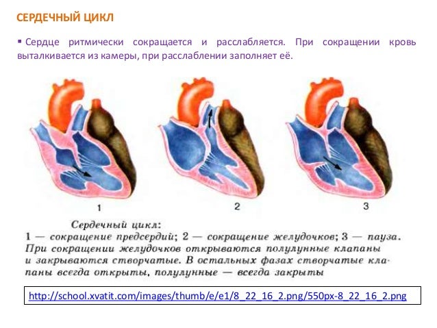 Двигатель в сердце