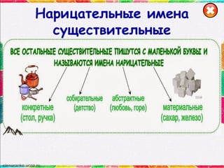 Нарицательные имена
существительные